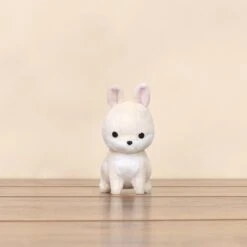 Mini Bunni The Dwarf Rabbit