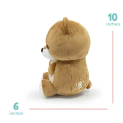 Teddi The Grizzly Bear -Plush Toy Store Image 4 8fedc71c 36f1 4f80 963f e872c364eeaf sw