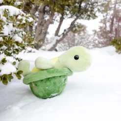 Torti The Tortoise -Plush Toy Store Jan 13 scaled