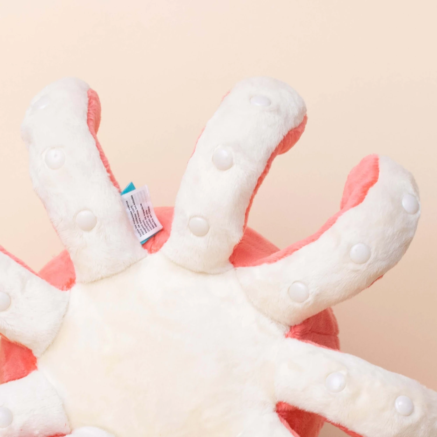 Octi The Octopus 5 Octi The Octopus - Image 5