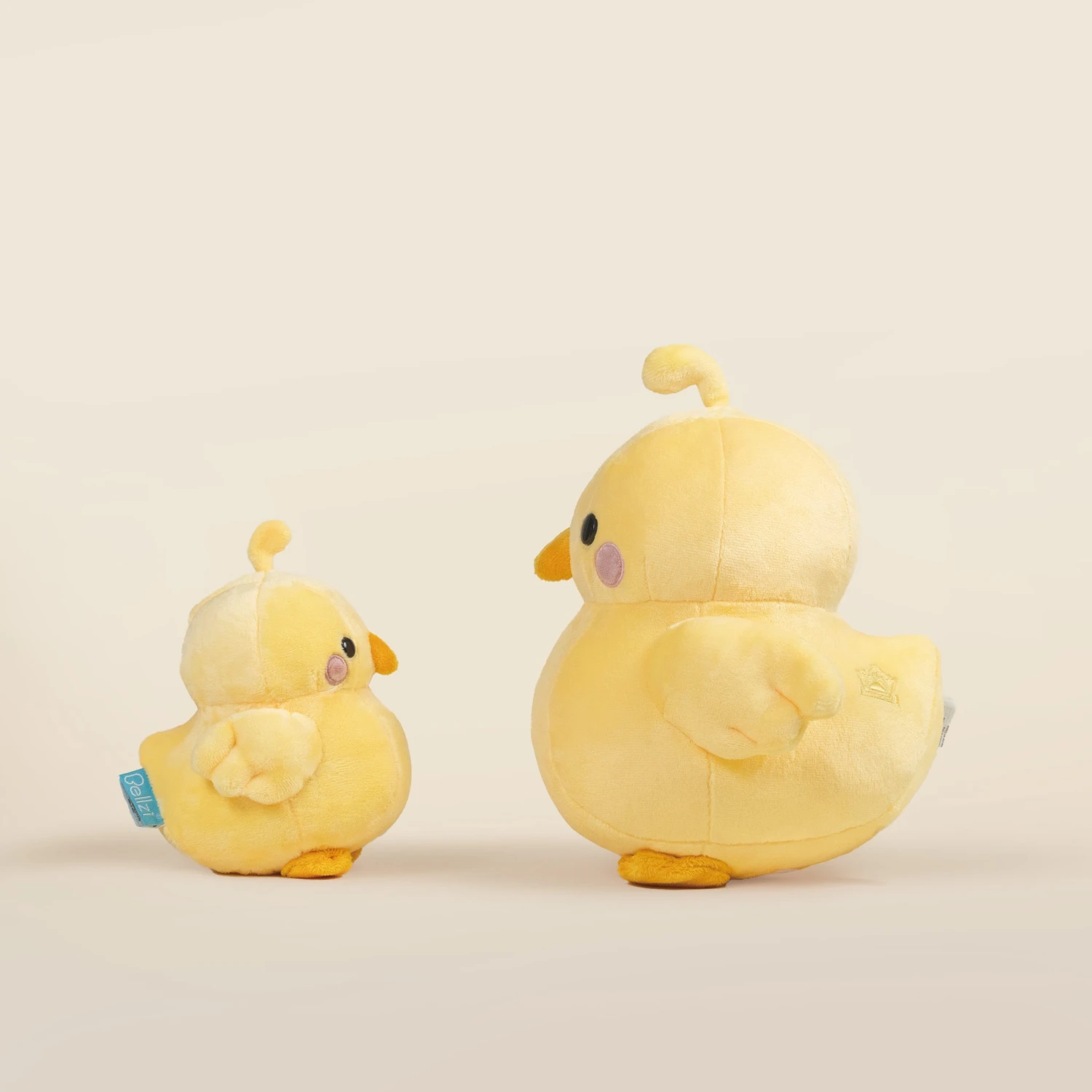 Chicki The Chick 10 Chicki The Chick - Image 10