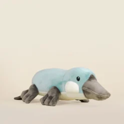 Plati The Platypus -Plush Toy Store Photo Platti R RQF 7949bcdf f717 4eca a64e 595983ea0543